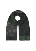 Men Akotan Scarf green