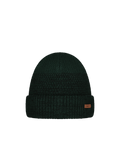 Men Ail Beanie bottle green