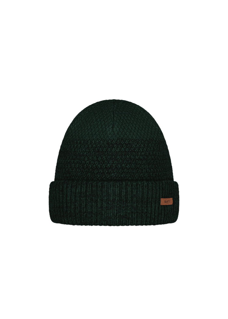 Men Ail Beanie bottle green