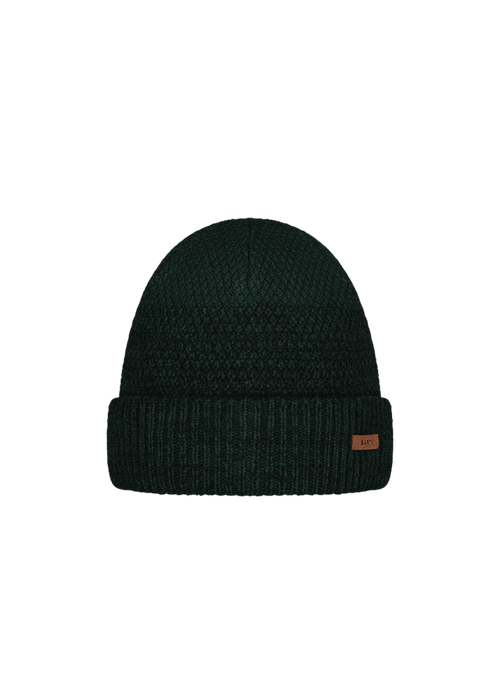 Men Ail Beanie bottle green