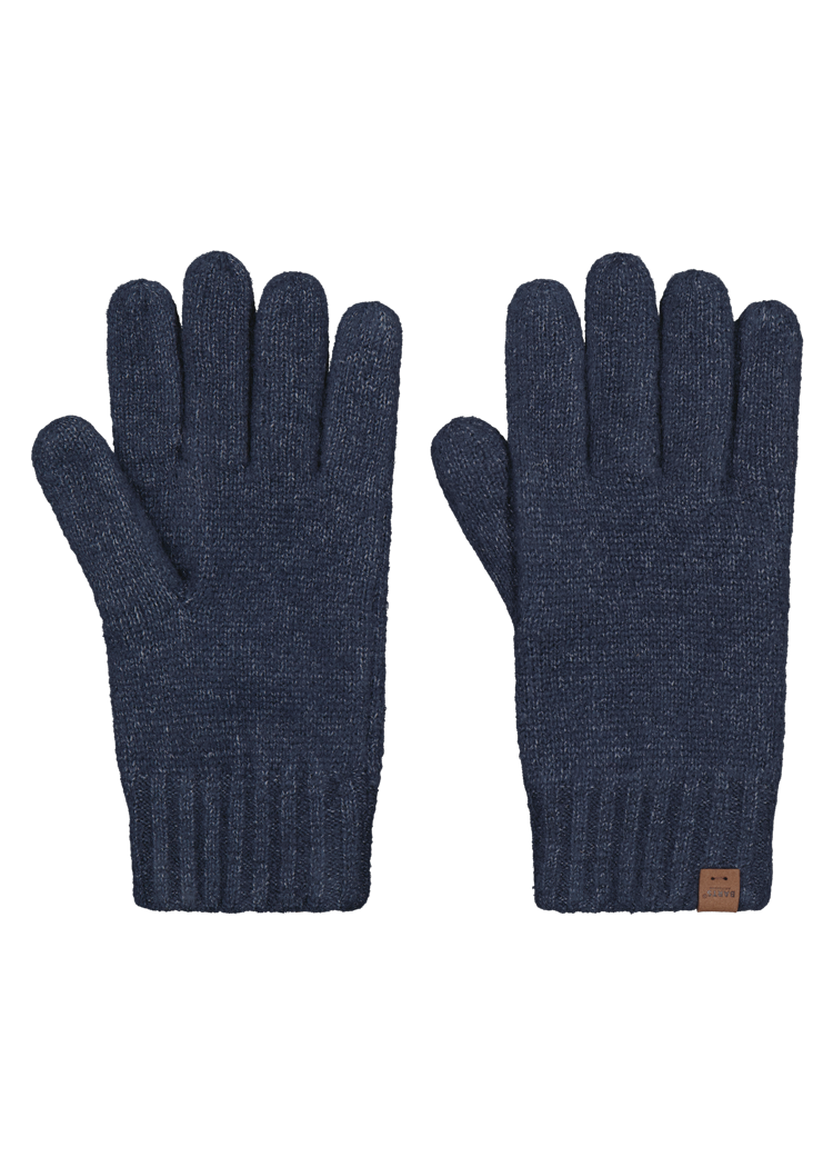 Men Wyoni Gloves navy
