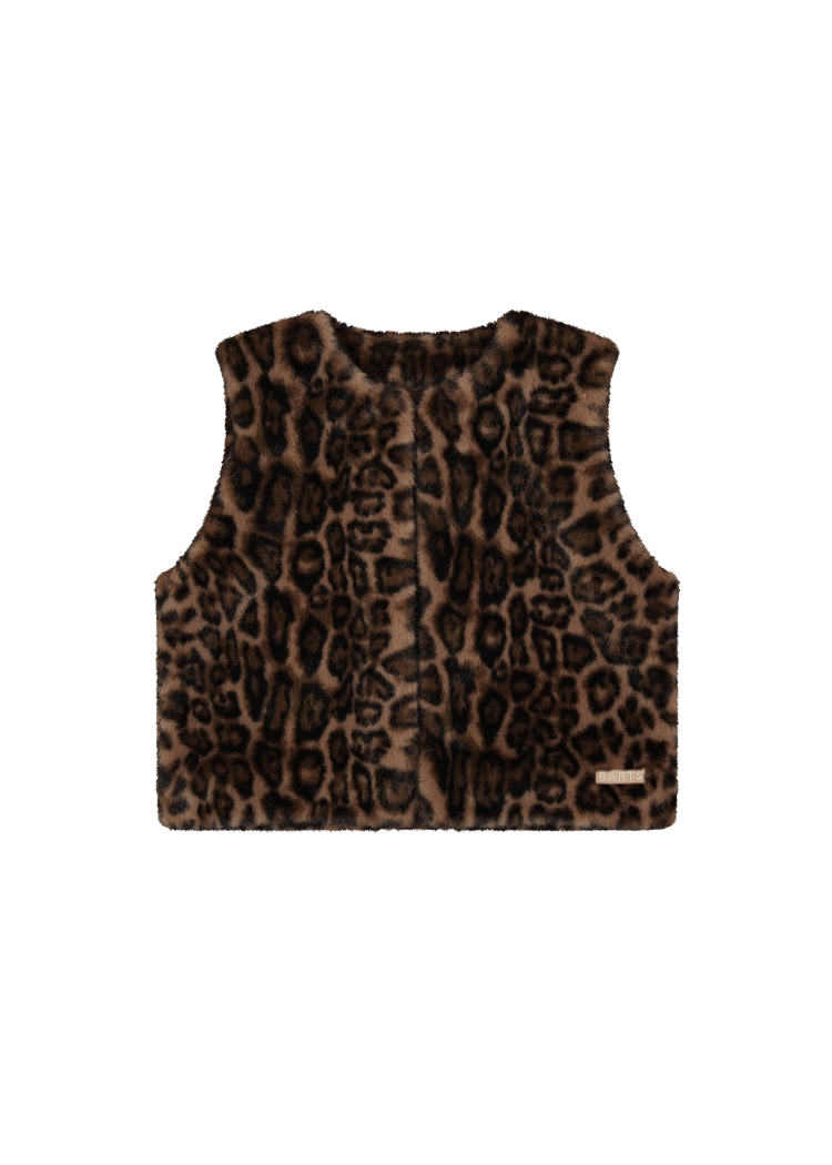 Women Annaliese Gilet print brown