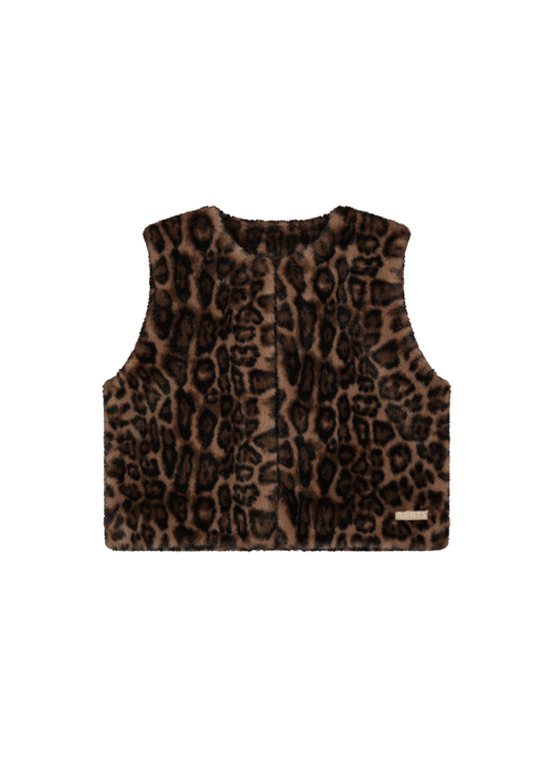 Women Annaliese Gilet print brown