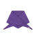Women Fhearna Scarf purple