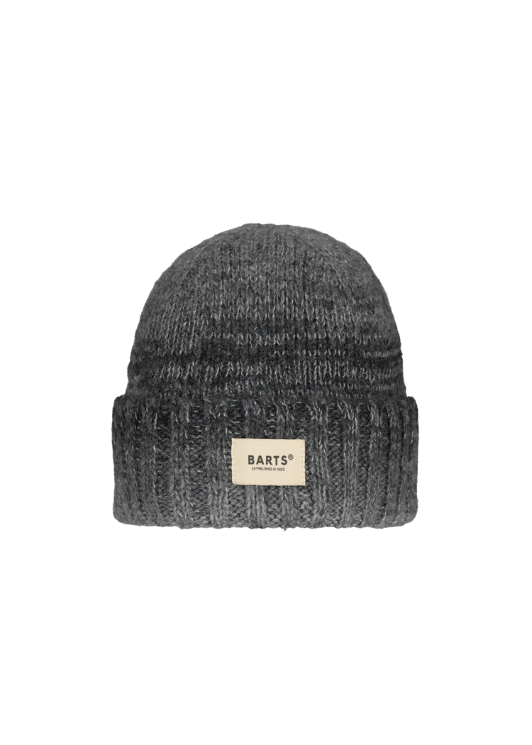 Men Ealar Beanie black