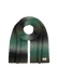Men Ealar Scarf green