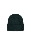 Men Dewray Beanie bottle green
