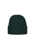 Men Moiray Beanie bottle green