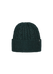 Men Moiray Beanie bottle green